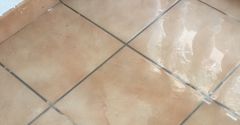 IMPRIMACIONES, IMPERMEABILIZANTES Y BARNICES
